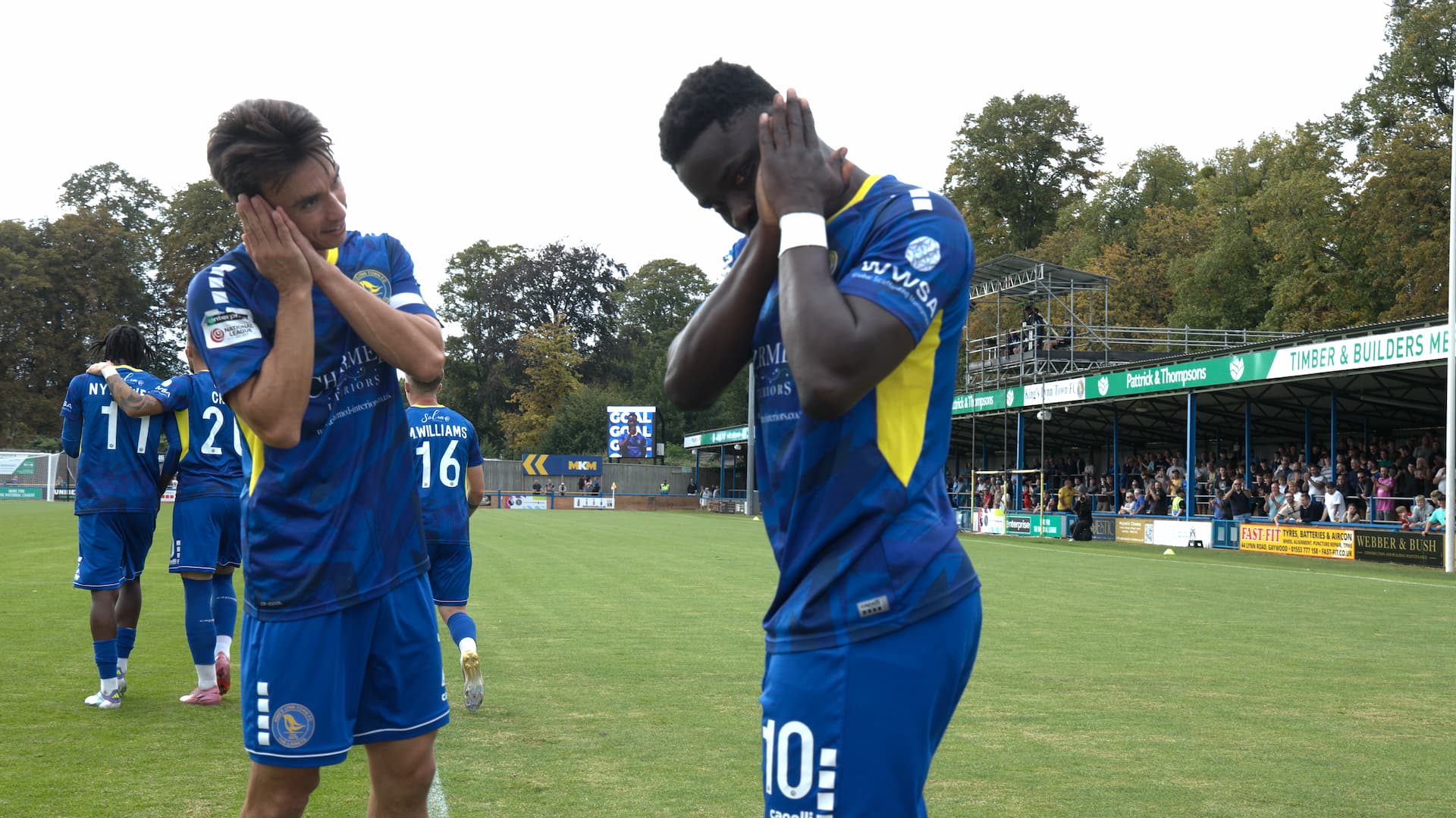 Linnets+