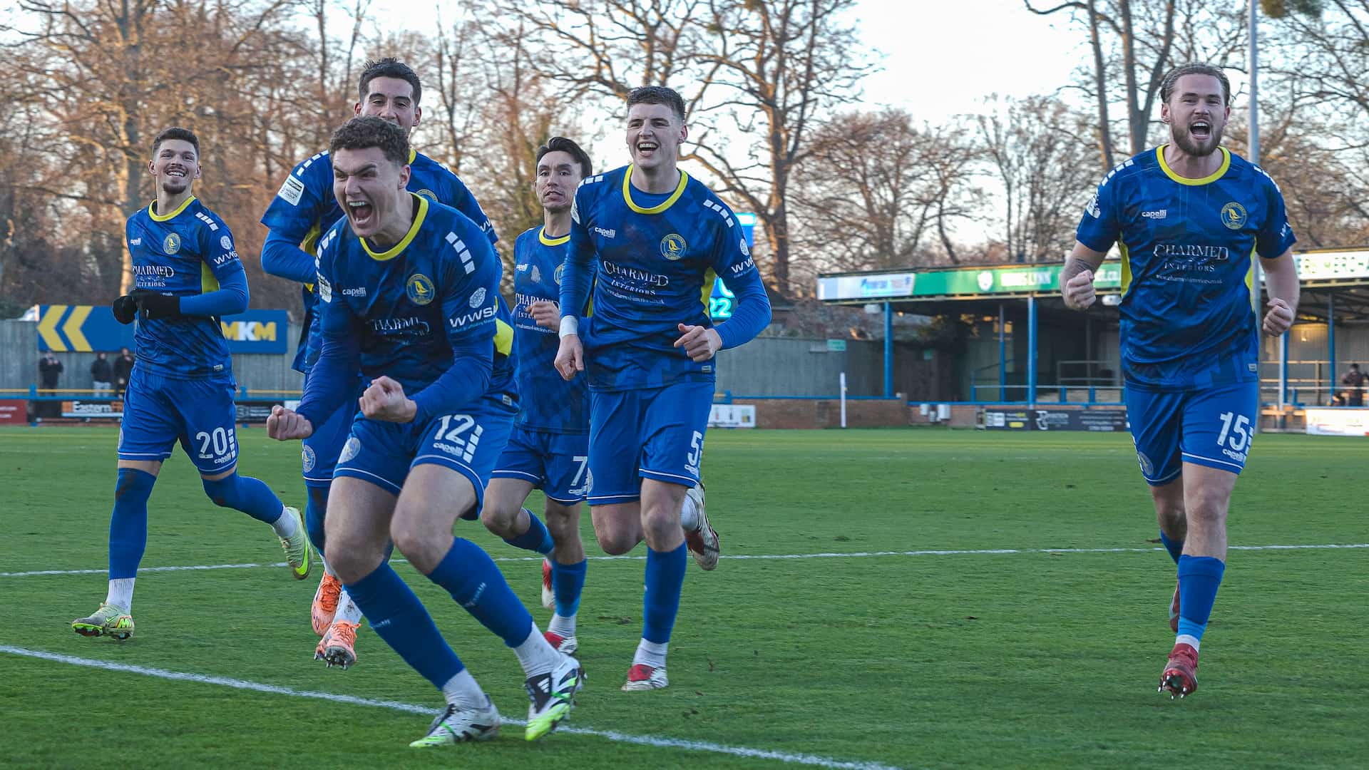 Linnets+